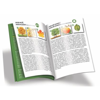 Pexetrio - Stromy - 36 dílků