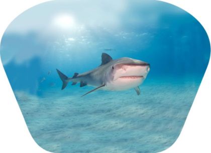 Ruční foto projektor - Nebezpečná zvířata