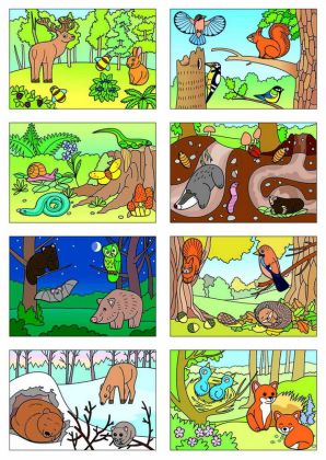 Začínáme vystřihovat - Zvířátka v lese