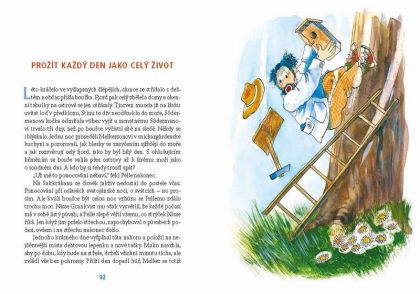 Albatros, My z ostrova Saltkrakan, Astrid Lindgrenová