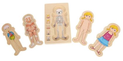 Small Foot Dřevěné hračky puzzle anatomie Holka