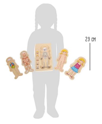 Small Foot Dřevěné hračky puzzle anatomie Holka