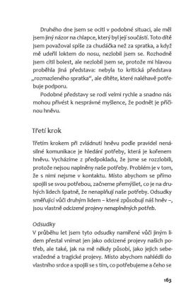 Nenásilná komunikace v praxi