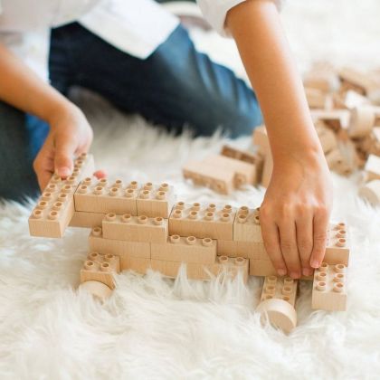 Eco-bricks Plus 42 kostek