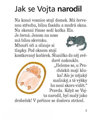 Jak se Vojta ztratil - Petra Braunová