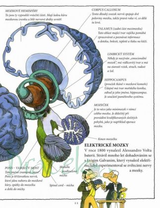 Mozek - Steve Parker
