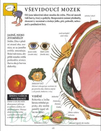 Mozek - Steve Parker