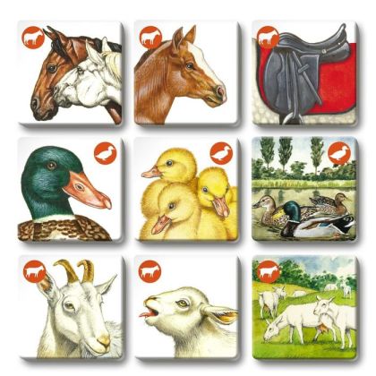 Pexetrio - Zvířátka na statku - 36 dílků