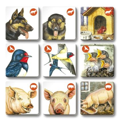 Pexetrio - Zvířátka na statku - 36 dílků