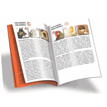 Pexetrio - Zvířátka na statku - 36 dílků