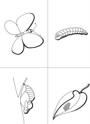 Šimonovy pracovní listy 24 - Do přírody za zvířátky