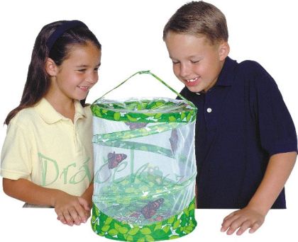 Vzdělávací přírodovědná sada Motýlí zahrádka (3-5 housenek)