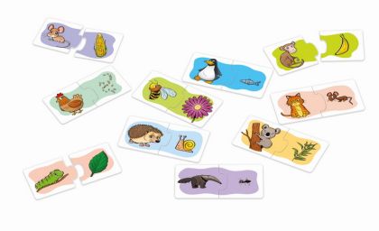 Alexander Hra školou Co jedí zvířátka