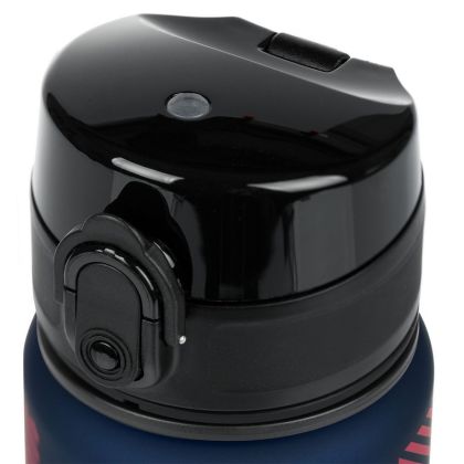 BAAGL Tritanová láhev na pití Harry Potter Nebelvír, 500 ml