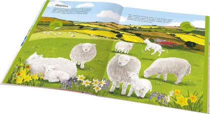 KONĚ, SLEPICE a další zvířátka z farmy – Kniha samolepek