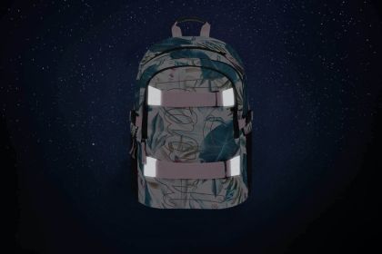 BAAGL Školní batoh Skate Leafs