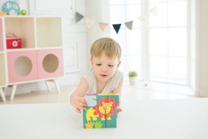 Kostky kubus Divoká zvířata - Zoo dřevo 9ks