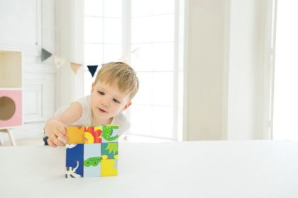 Kostky kubus Divoká zvířata - Zoo dřevo 9ks