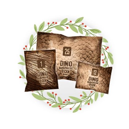 BUKI DINO box 25 překvapení