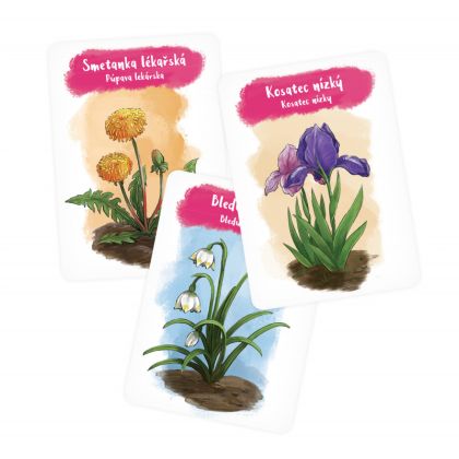 Albi, Pidikarty - Květiny