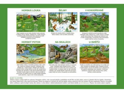 Začínáme vystřihovat - Na horách