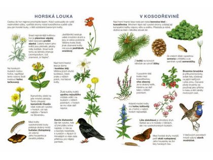 Začínáme vystřihovat - Na horách