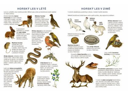 Začínáme vystřihovat - Na horách