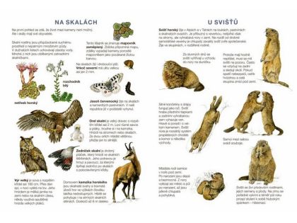 Začínáme vystřihovat - Na horách