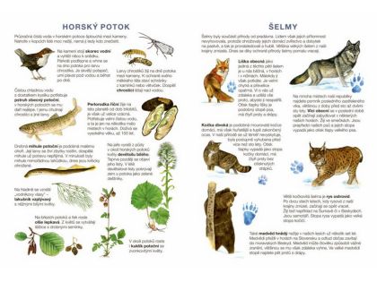 Začínáme vystřihovat - Na horách