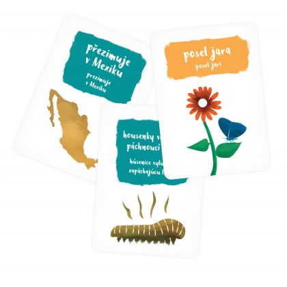 Albi, Pidikarty - Motýli