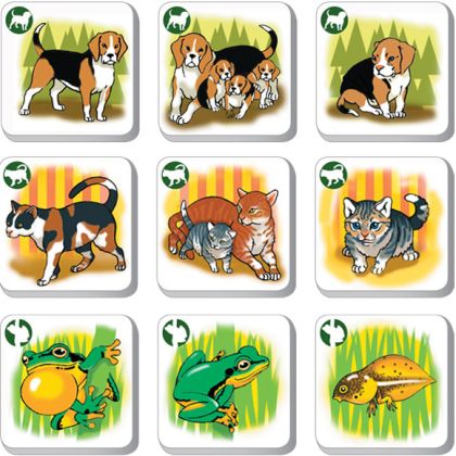 Pexetrio Kids - Zvířata - Poznáš jejich rodinu? 36 dílků