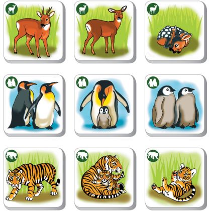 Pexetrio Kids - Zvířata - Poznáš jejich rodinu? 36 dílků