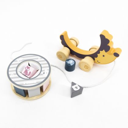 VIGA, Dřevěná tahačka a vkládačka ježek