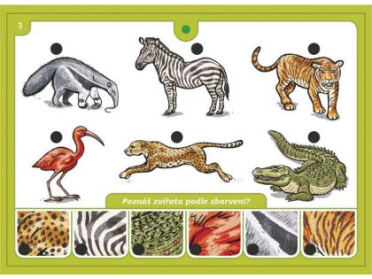 Svoboda, Školička 3 společenská hra na baterie v krabici 22x16x3cm