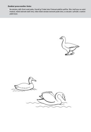 Šimonovy pracovní listy 21 - Grafomotorické pohádky