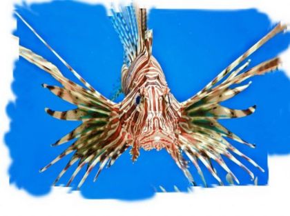 Ruční fotoprojektor mořská stvoření