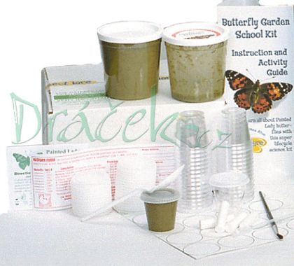 Insect Lore Motýlí školní sada (33 housenek)