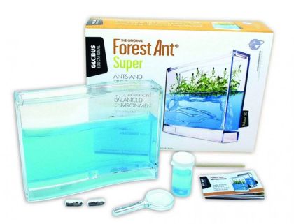 Forest Antquarium Ecoterrarium - Mravenčí akvárium