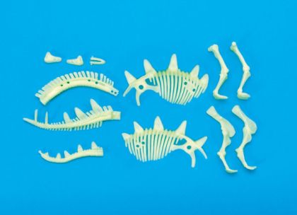 GlowStars Glow Dinos 3D kostra Stegosaurus