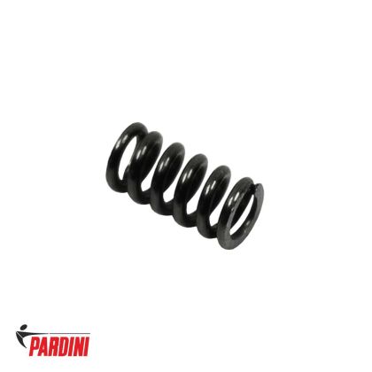 Pružina záchytu zásobníku Pardini SP a TR20