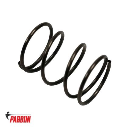 Pružina hlavnové závaží Pardini SP (8 mm)