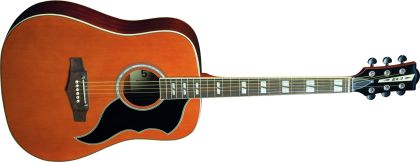 EKO Ranger XII VR Natural Top Stained