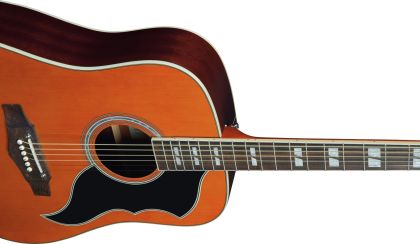 EKO Ranger XII VR Natural Top Stained