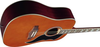 EKO Ranger XII VR Natural Top Stained