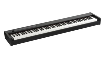 KORG D1