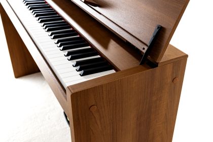 KORG Poetry Magnifique