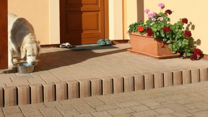 CSB PALISÁDA VERA 11 x 11 x 60 cm, Javor (paleta 84 ks)