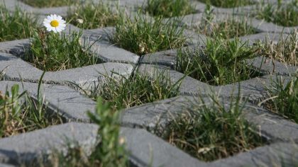 CSB VEGETAČNÍ TVÁRNICE velká 60 x 40 x 10 cm Šedá (paleta 36 ks)