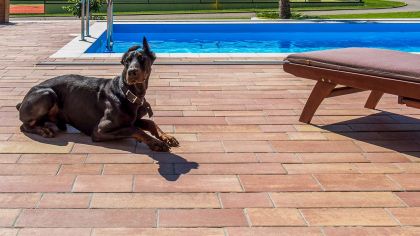 CSB VALENCIA 6 Colormix Alba standard hladká CP Plus (paleta 10,6029 m²)