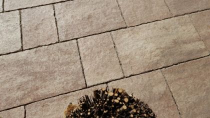 CSB CORTILA 6 Naturcolor Playa antiko relief CP Plus (paleta 10,8 m² / vrstva 1,2 m²)